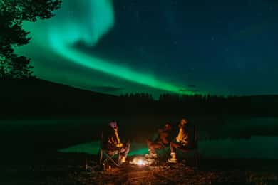 Experience the Magic of the Northern Lights in Lofoten!