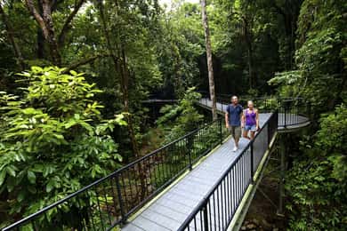 Cairns: Daintree, Mossman Gorge, & Cape Tribulation Day Trip
