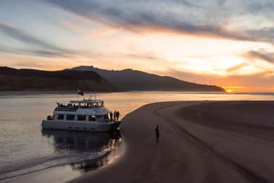 Raglan: Scenic Harbour Sunset Cruise
