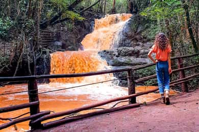 Karura forest A walking tour from Nairobi