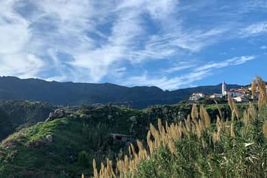 Madeira West Panoramic Tour