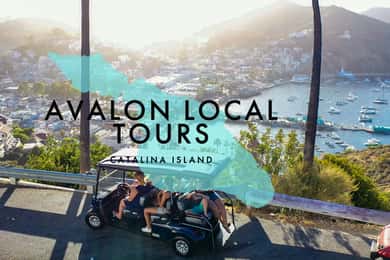 Avalon: Privat golfbilstur med förare och guide