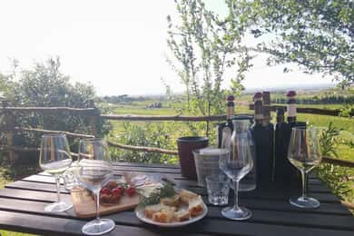 Frascati: 2-Hours Wine and Oil Tasting with Vineyards Tour