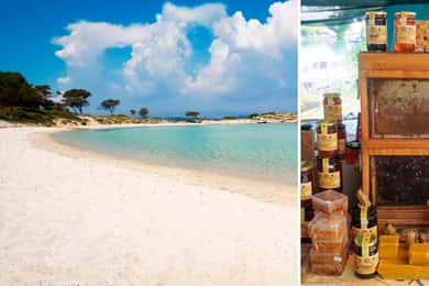 Kassandra: Vourvourou, farmers' market & option Greek Meze