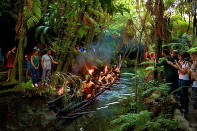 Auckland: Māori Evening Dinner and Private Show Experience