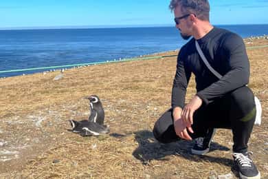 Magdalena Island: Walk with the penguins