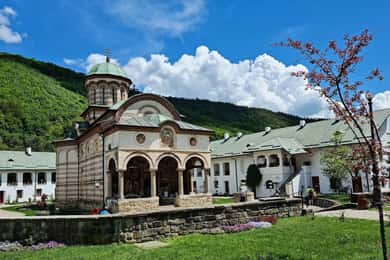 Bucharest: 8-Day Transylvania & Moldavian Monasteries Tour