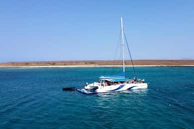Sal: Cruzeiro de Catamarã de Meio Dia com Tudo Incluído no Lounge