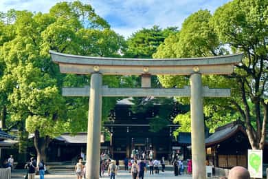Tokyo: Meiji Jingu-helligdommen og shinto-kultur – vandringstur