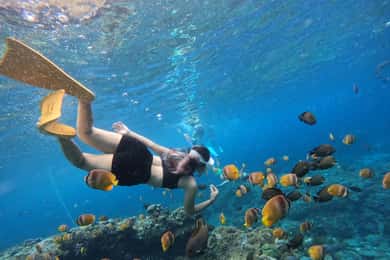 Von Bali aus: 3 Schnorchelspots Tour nach Lembongan und Penida