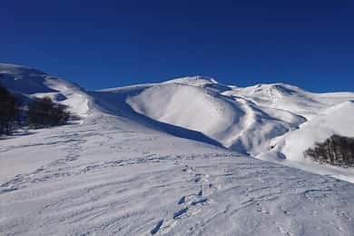 Ascent to Quetrupillán volcano 2370masl, from Pucón