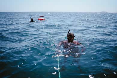 Lanzarote: Introduzione all'esperienza di apnea
