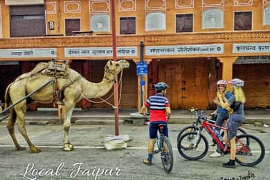 Jaipur: 3-Hour Morning Bike Tour of Jaipur Old City