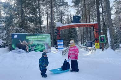 Rundvisning i Ranua Wildlife Zoo med frokostbuffet inkluderet