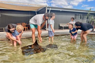 Anna Bay: Irukandji Entry Pass with Shallows Encounter