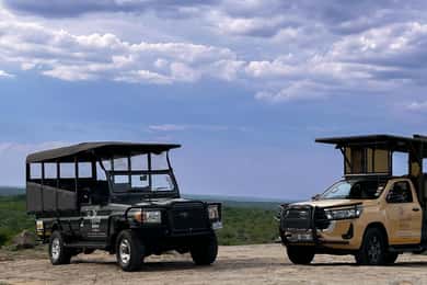 Malelane & Komtipoort: Kruger National Park Full-Day Safari