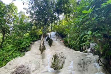 Chiang Mai Tour de medio día: Cascada Pegajosa y Traslado al Hotel