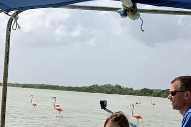 Río Lagartos & Las Coloradas: Tour Privado de Lujo