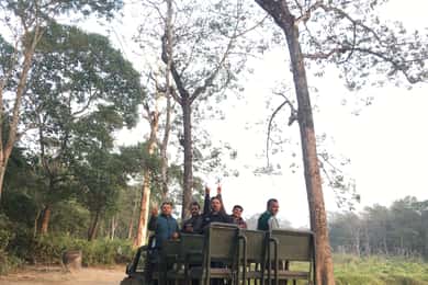 Desde Chitwan Safari en jeep de día completo en el Parque Nacional de Chitwan