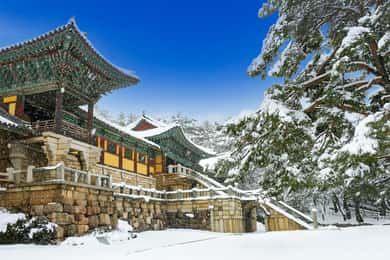 Busan: Gyeongju UNESCO Legacy Tour with National Museum