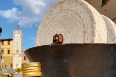 Tour del frantoio con degustazione di olio e prodotti tipici a Chianciano