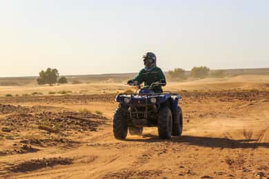 Marrakech : Paseo en camello, quad en Palmeraie con traslado