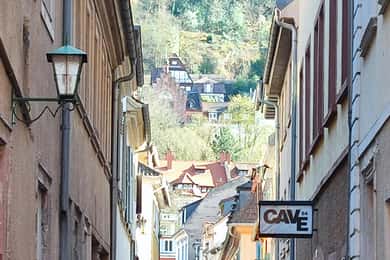 EXPRESS TOUR of Historic Heidelberg - The Highlights in 1 h