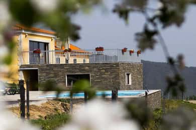 Régua : dégustation de vin dans une ferme, déjeuner traditionnel, croisière et train