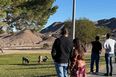 Boulder City: Hemenway Park guidad tur