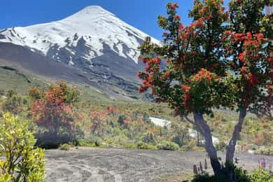 Puerto Montt: tour del vulcano Osorno Tour a terra in privato