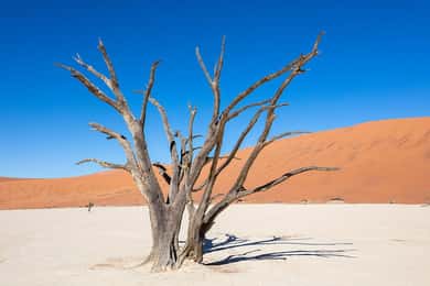 Vanuit Windhoek: 3-Daagse Sossusvlei Shared Shuttle Tour