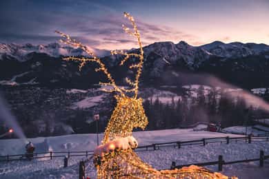 From Kraków: Zakopane and Thermal Baths with Personal driver