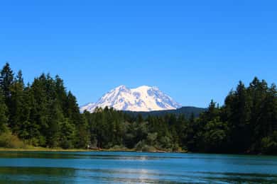 Wandelen in Mount Rainier privétour vanuit Seattle