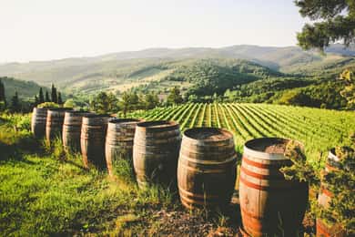 From Civitavecchia: Tuscany-Latium Wine Tour with Tastings
