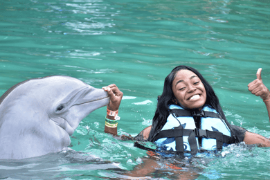 Montego Bay: Viagem de um dia à Dolphin Cove Ocho Rios com transferes