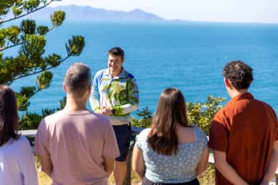 Isla Magnética: Tour en autobús guiado con té matinal