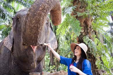 Krabi: Elefanthjem og Khaothong Hills (privat tur)