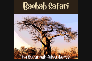 Cataratas Victoria: Safari Baobab - Amanecer y Media Mañana