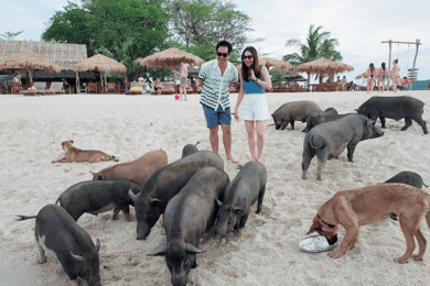 Samui: Pig Island Private Luxury Longtail Boat Tour