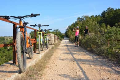 Ciclovia dell'acquedotto con degustazione di vini in cantina
