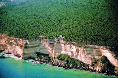Barbate: Parque Natural de la Breña y Paseo en Barco por el Cabo de Trafalgar