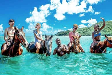 Montego Bay: Dunn's River Falls e aventura a cavalo