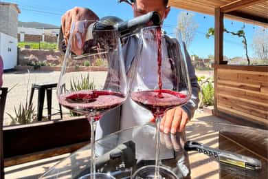 Wine not by bike, Bike among vineyards