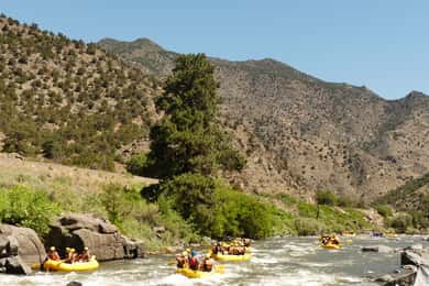 Cañon City: Bighorn Sheep Canyon Guided Rafting Adventure