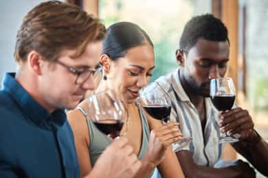 Lima: Peruvian wine tasting in an exclusive environment