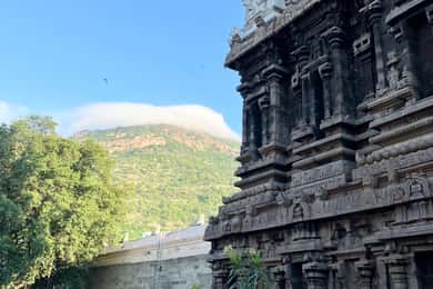 Bengaluru: 3 Hour New and Old City Guided Walking Tour