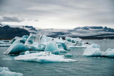 Excursión Privada a la Playa de Diamantes de Jökulsárlón y a la Playa de Arena Negra