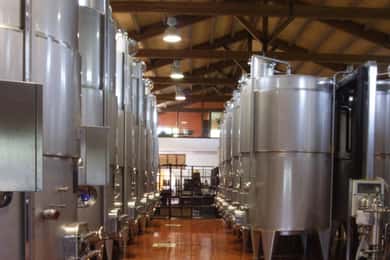 Antica Masseria Venditti: guided visit to the winery with wine tasting