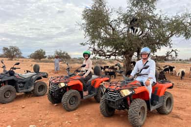 Agadir: ATV Quad Biking and Goats On Argan Trees with Tea