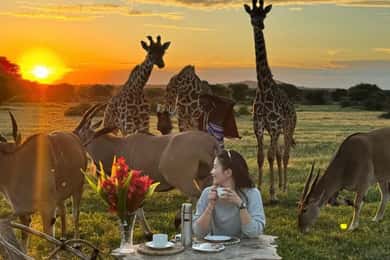 SERVAL WILDLIFE DAY - TOUR FROM ARUSHA, MOSHI OR ZANZIBAR.